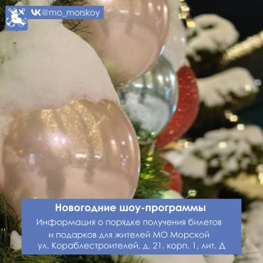 251211 Новогодние шоу-программы