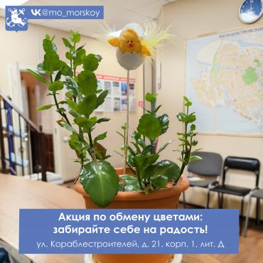 260625 Обмен цветами