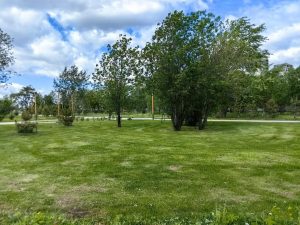 IMG_20260918_110153