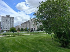 IMG_20260918_110202
