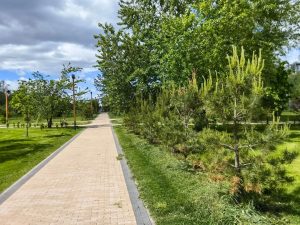 IMG_20260918_110205