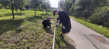 Трудоустройство 2024_3