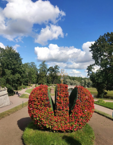 н.8
