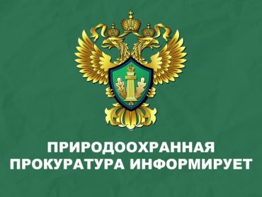 Природоохранная прокуратура