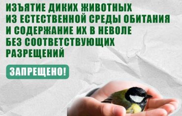 ufV5eSKbcheVr6lWnaJG_BVNQBVrily7QeU2dyMAuV2AGJOhKGEuCA0Vwg472AYyeMTS4eX1etHWyIMIhke1m4LO