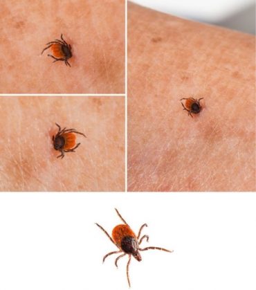 wkst9MRouMgDHP1ctx0HczhvyBQB9Qv5RkcfdONQOO4h-wZpe-wI2fwS4gogeCjBDH94zd_gtfNaG_MugxTjZzgg